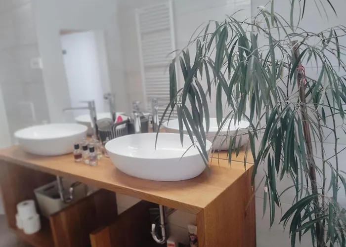 Old Center Family شقة *